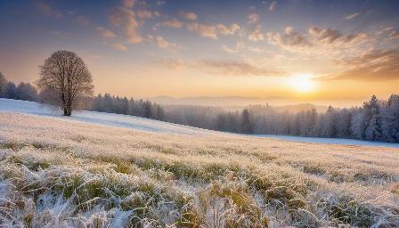 A meadow in winter, great quality, high resolution, variety of details, high definition
